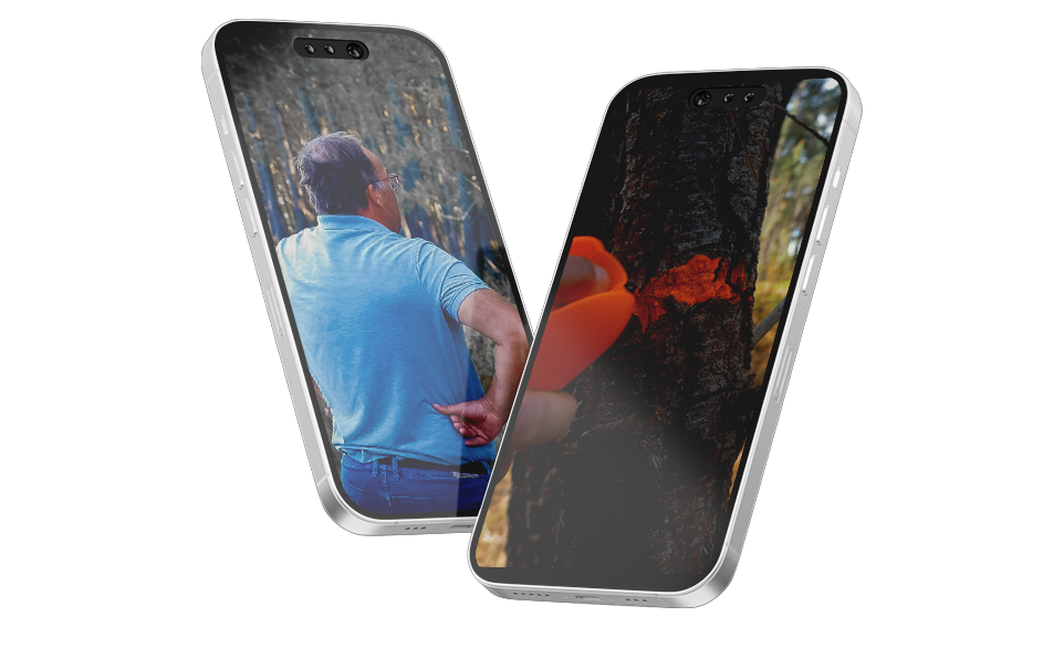 Immersion en forêt avec AGEF - Formats courts, Synoptique production